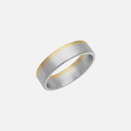 Gold and Platinum Band with Asymmetrical Fusion