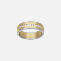 Yellow Gold and Platinum Diamond Band