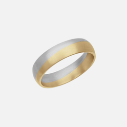 Yellow Gold and Platinum Band