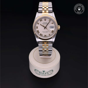 Oyster Perpetual Datejust 36