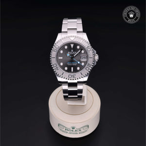 Yacht-Master 37