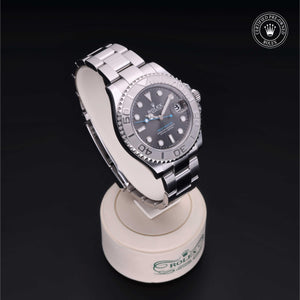 Yacht-Master 37