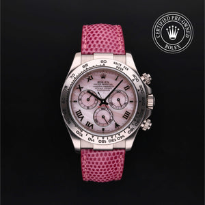 Oyster Perpetual  Cosmograph Daytona