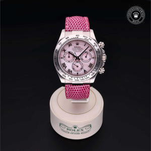 Oyster Perpetual  Cosmograph Daytona