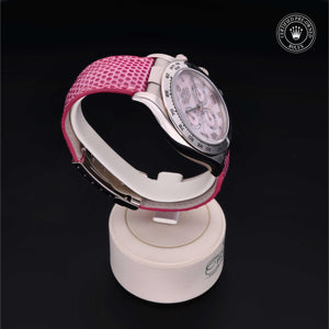 Oyster Perpetual  Cosmograph Daytona