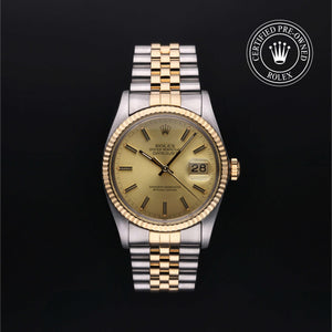 Oyster Perpetual Datejust 36