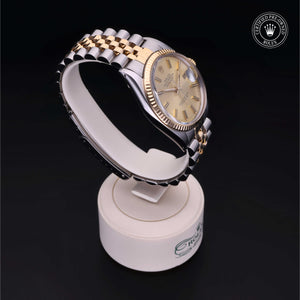 Oyster Perpetual Datejust 36