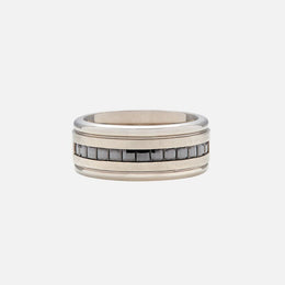Titanium Men's Halfway Black Diamond Bezel Ring