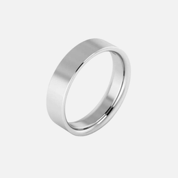 Classic High Polish Platinum Band